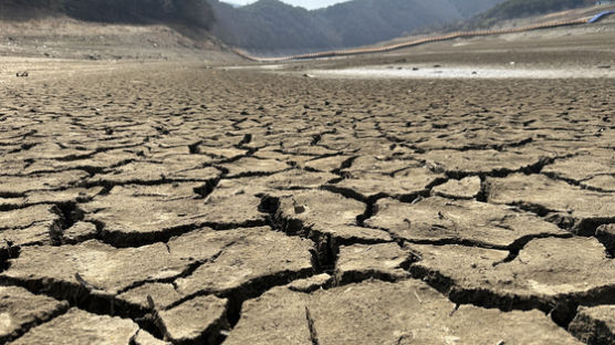 물 모으고 가두고 '영끌'…정부, 최악 가뭄에 용수 확보 전쟁