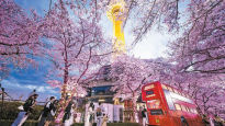 [특별한 대구 봄 여행] 이월드 83타워 아래 핑크빛 장관…대구는 지금 봄 향기 가득~