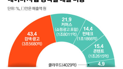 카카오 다음은 네이버? 정부·여당 집중포화