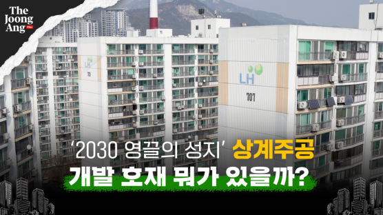 “서울 이만한 9억 이하 없다”…‘영끌의 성지’ 된 상계주공