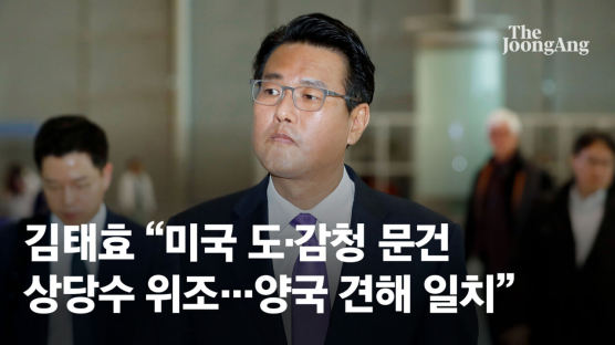 김태효 “한·미 국방 통화…유출 정보 상당수 위조된 것”