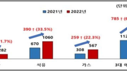 "작년 역대 최대 무역적자, 에너지 등 수입단가 상승 때문"