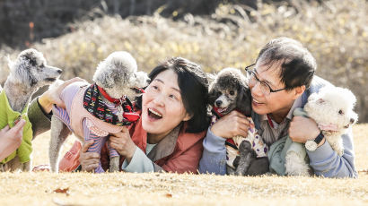 “개 키우면 요양병원 가련다!”…푸들 출산 뒤 180도 바뀐 母