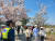 지난 2일 서울 여의서로 벚꽃길을 걷고 있는 시민들 옆에서 경찰이 인파 통제를 하고 있다. 김홍범 기자