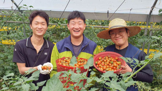 쿠팡, ‘방울토마토 사태’로 위기처한 토마토 농가 돕는다…재고 400t 매입