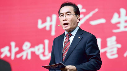 태영호 "김구 선생은 김일성의 통일전선 전략에 당했다"