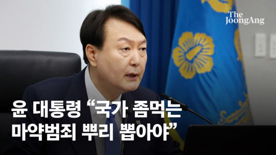 尹, 국무회의서 "마약과 전쟁 반드시 승리…범정부 역량 총결집"