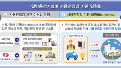 일반용 전기설비 사용전 점검, 한국전기안전공사로 일원화