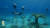 해저 조각공원 ‘무산’. [사진 무산]