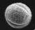 참나무 꽃가루 전자현미경 이미지. 국립기상과학원