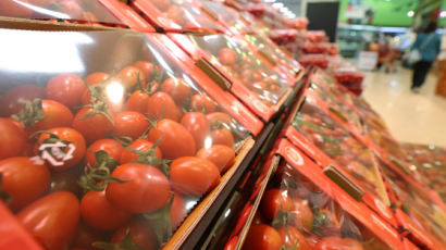 쓴맛 방울토마토 여파로…한달새 도매가 32.6% 하락