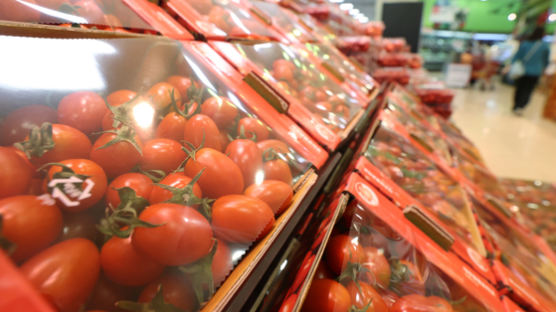 쓴맛 방울토마토 여파로…한달새 도매가 32.6% 하락