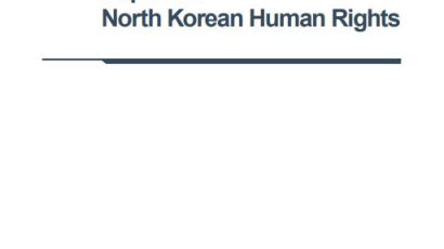 "해외에도 알릴 수 있게"…정부, 북한인권보고서 영문판 공개