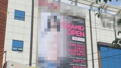 "내 눈을 의심했다"…울산 한복판 속옷 차림 여성 옥외 광고 '경악'