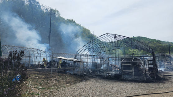 인천 계양구 비닐하우스 13개 동 화재로 전소…70대 2명 사망