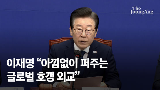 "사기극, 요란한 깡통, 호구 외교"…尹 방미 혹평 쏟아낸 민주당