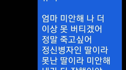 학대·학폭 끝 찾는 '아늑한 지옥'…소녀 죽음 몬 '울갤' 실체 [울갤 리포트①]