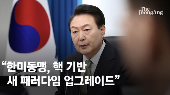 '동맹' 43회 언급…방미성과 직접 밝힌 尹 "역사 자랑스럽게 생각을"