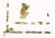 국립경주박물관이 4일부터 7월 16일까지 특별전 ‘천마, 다시 만나다’에서 선보이는 네 종류의 천마. 가장 상태가 좋은 것은 천마총에서 발견된 자작나무 말다래(말안장에 붙이는 판자)에 그려진 버전이다. 금관총·금령총에서 발견된 천마 말다래는 일부분만이 남아 있다. [사진 국립경주박물관]