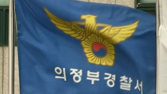 13살 동생 흉기 위협한 20살 형…말리던 경찰 손가락 신경 절단