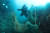 취재기자가 홍도 수중 생태계를 조사하는 중에 발견된 폐어구를 잡고 있다. 국립공원연구원 해양연구센터
