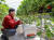 지난달 26일 오후 전남 강진군 딸기농가에서 이성수씨가 올해 꿀벌 폐사와 딸기 작황을 설명하고 있다. 프리랜서 장정필