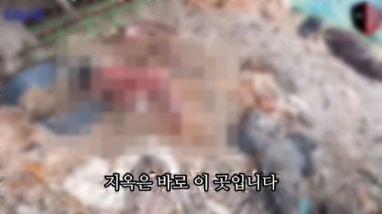 첫 동물보호법 법정최고형 선고…개‧고양이 1256마리 아사시킨 60대, 징역 3년