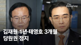 김재원 당원권 정지 1년 '공천 불가'…자진사퇴 태영호 3개월