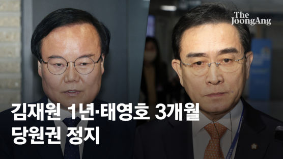 김재원 당원권 정지 1년 ‘공천불가’ 중징계…태영호는 3개월