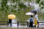 지난 4일 전남 담양 관방제림에 봄비가 내려 시민들이 우산을 쓰고 산책하는 모습. 연합뉴스