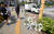 지난 11일 경기도 수원시 권선구의 한 사거리에 전날 어린이보호구역(스쿨존)에서 시내버스에 치여 숨진 초등학생 조은결군을 추모하는 물품들이 놓여 있다. 뉴시스