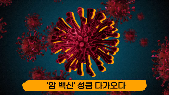 암환자 78% 효과본 ‘암 백신’…2030년까지 1만명 맞는다