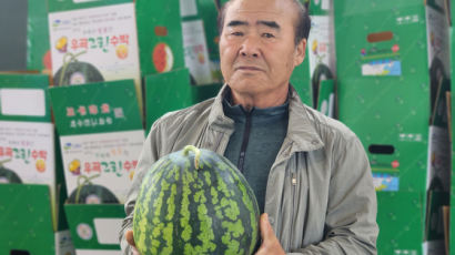 외국인 노동자도 “일 힘들다” 기피…경북 ‘명품 수박’ 이러다 사라지나