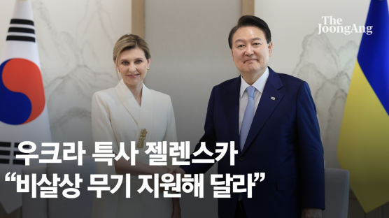 우크라 특사 젤렌스카 "비살상 무기 지원해 달라" 尹에 요청