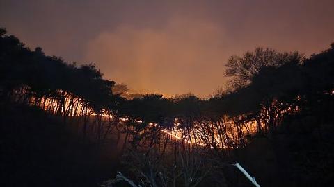 올봄 산불로 축구장 6518개 태웠다…원인 93% "사람 부주의" 