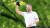  마이클 블록이 22일(한국시간) 열린 PGA 챔피언십 최종라운드에서 15번 홀 홀인원을 기록한 뒤 기뻐하고 있다. AP=연합뉴스