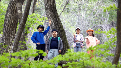 [소년중앙] 자연과 문화적 가치 뛰어난 국립공원 어떻게 지정·보전할까요