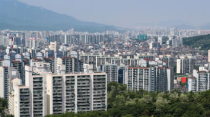 서울 외곽 집값 4% 하락… ‘영끌족’ 밀집 지역 연체율 올라