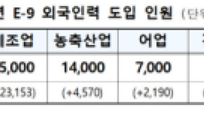 외국인 가사도우미 도입 검토에…"입주형 안돼" 말 나온 까닭 