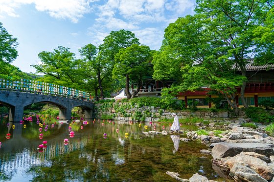 속세의 옷을 벗고 사찰에 하룻밤 머무는 것만으로도 마음이 풀린다. 템플스테이의 꾸준한 인기 비결이다. 마곡사 묘주 스님.