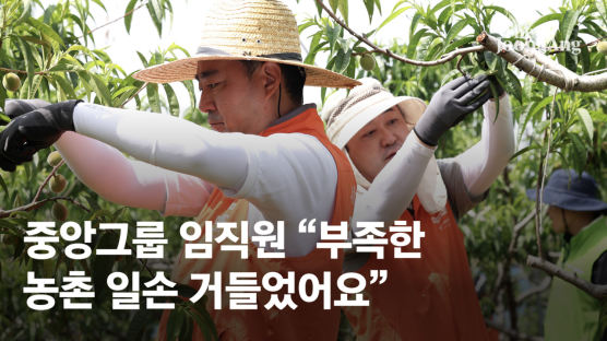 "농번기 힘 보태자"…중앙그룹 임직원, 복숭아 농가 일손 지원