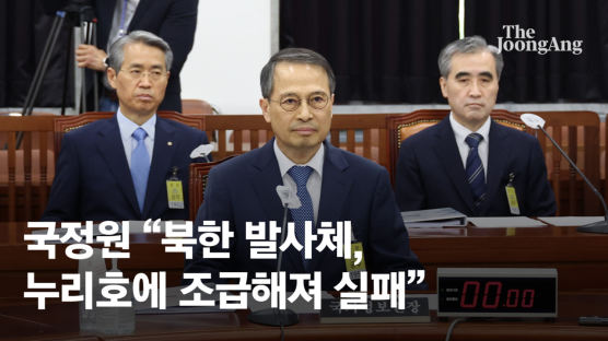 [속보] "北위성 실패, 김정은 참관한듯…누리호에 조급해져 강행"
