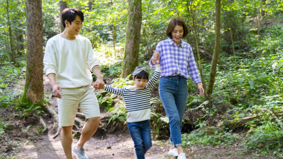 빨리 찾아온 여름, 발 담그고 '물멍' 때려볼까…평창이 부른다