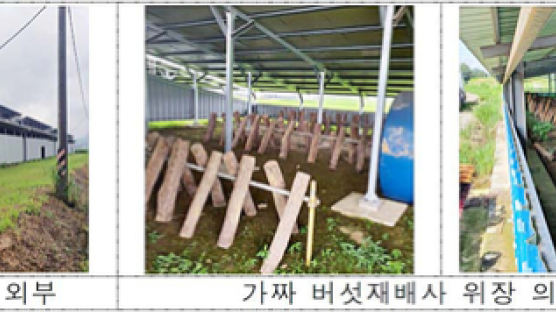 [단독]부당 전력기금 2616억, 환수 3%…태양광은 1원도 못건졌다