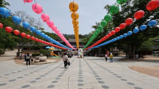 "공양밥 1만5000인분 동났다"...동화사 즐거운 비명, 무슨일 [르포]