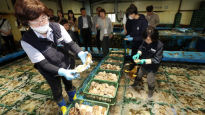 기준치 180배 ‘세슘 우럭’에 해수부 “후쿠시마 수산물 수입 없다”