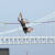 10일 부산국제장대높이뛰기 여자부 우승을 차지한 미국의 소피 거터머스. 사진 대한육상연맹
