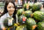 13일 서울 등촌동 ‘홈플러스 메가푸드마켓’ 강서점에서 모델이 망고수박과 애플수박을 선보이고 있다. 사진 홈플러스