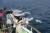 고래바다여행선 탑승객들이 고래떼를 목격했다. 중앙포토 