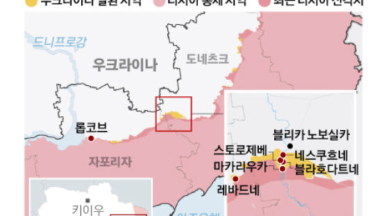 벨라루스 “러 전술핵, 필요하면 사용”…한국 등 44개국, 핵배치 규탄 성명